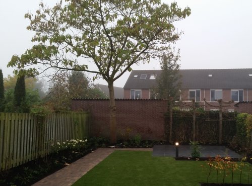 Een achtertuin met kunstgras te Heeswijk-Dinther.