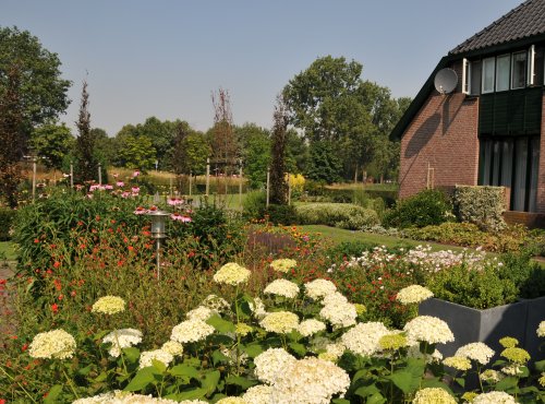 Een landelijke tuin te Reek.